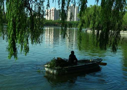 清理湖面