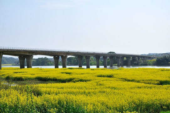 新安江十里画廊风光