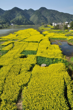 新安江十里画廊风光