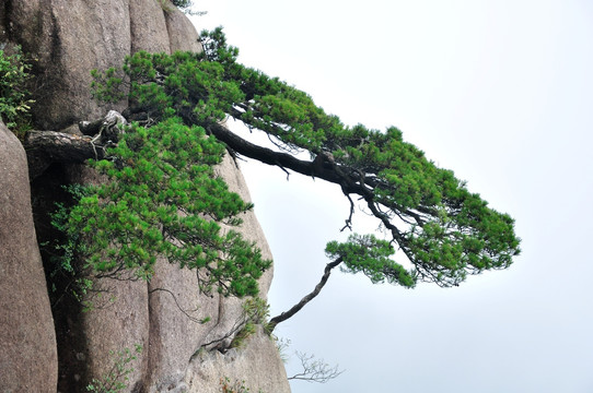 江西三清山风光