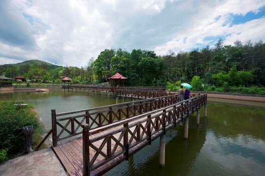 园林庭院设计风景