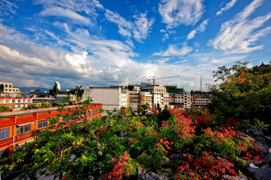 公园城市风景