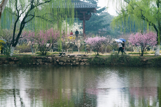 雨中漫步