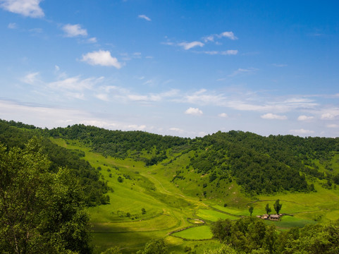 关山牧场