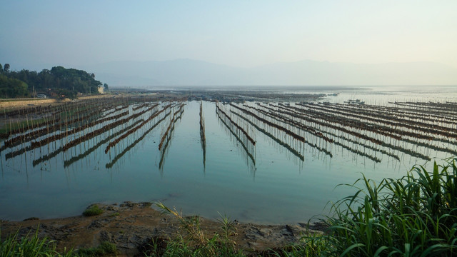 霞浦风光