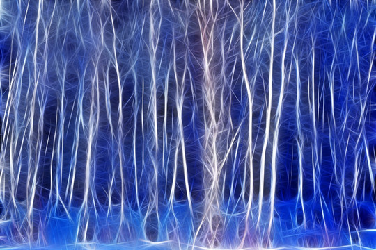 電腦畫(huà) 雪原白樺林