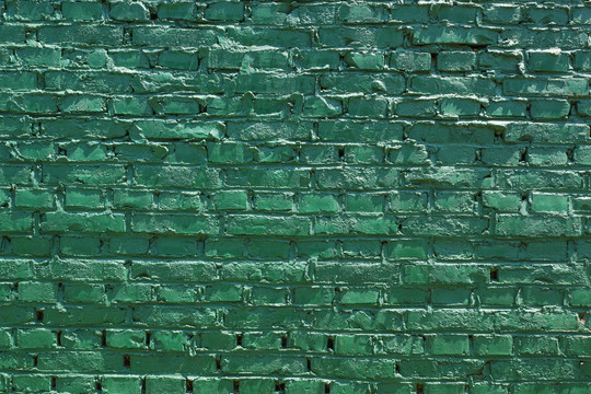 砖墙墙壁 绿墙