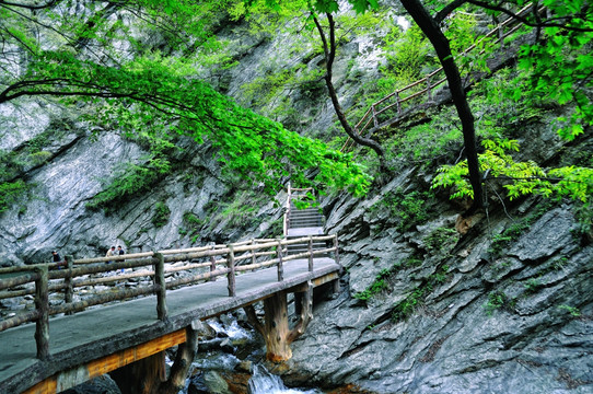 深山春色小桥流水绿树栈道悬崖