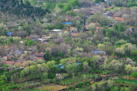 春天的山村