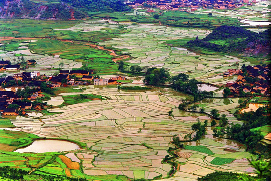 田园风景