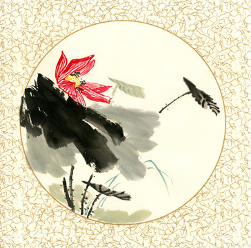 國(guó)畫(huà)荷花 寫(xiě)意荷花