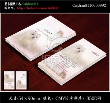 精品寵物店玩具服裝店名