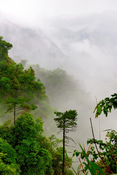 青山浣纱