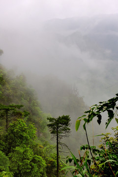 青山浣纱