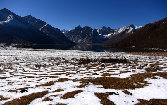 年宝玉则雪山风光