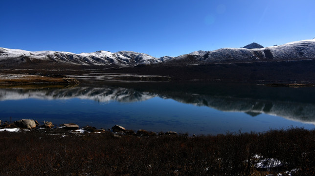 年宝玉则雪山风光