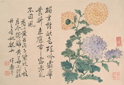 菊圖 國畫