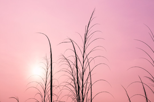 晚霞天空