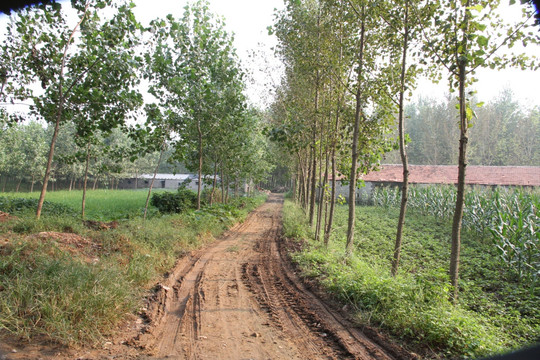 泥泞道路