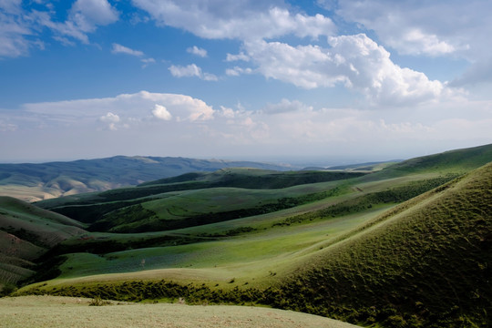 高山牧场