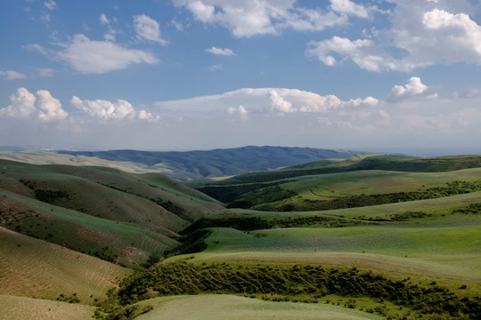 高山牧场