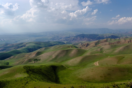 高山牧场