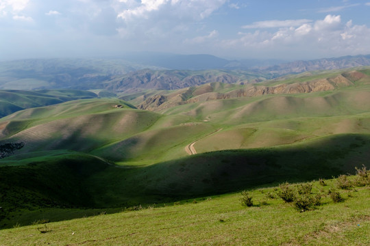 高山牧场