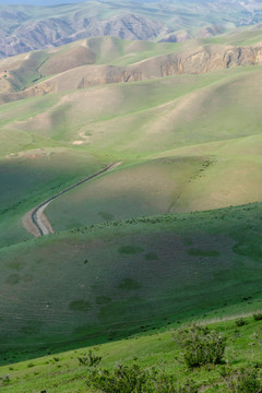 高山牧场