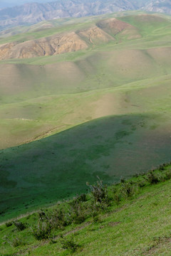 高山牧场