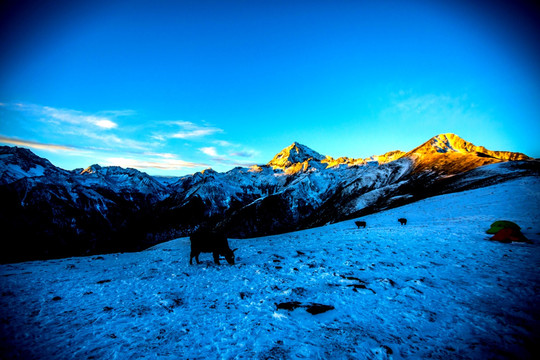 巴谷多雪山