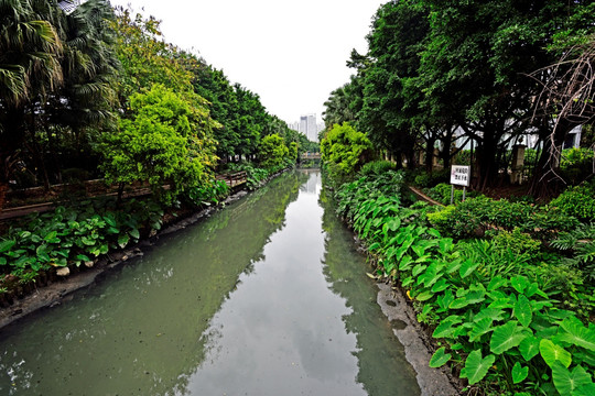 广州黄埔冲