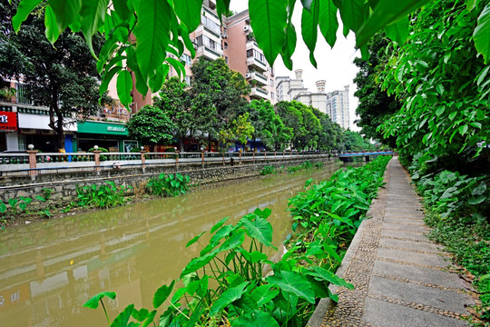 广州 黄埔冲河