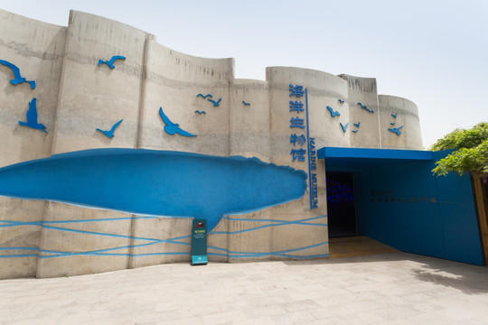 青岛水族馆