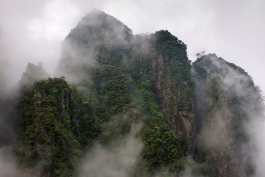 雄蜂雾景