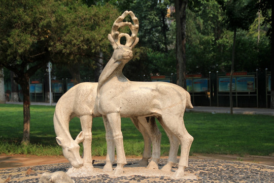 鹿 动物雕塑