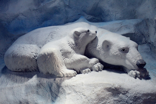 北极熊雕像 母子两