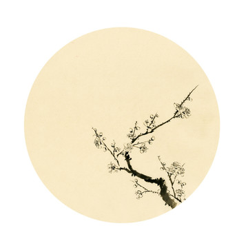 國畫梅花 梅花