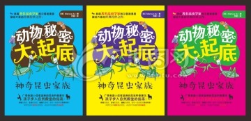 動(dòng)物招貼海報(bào)