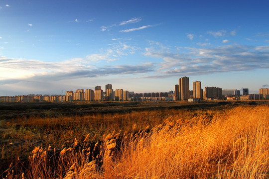 大庆 龙凤湿地 大庆市 湿地