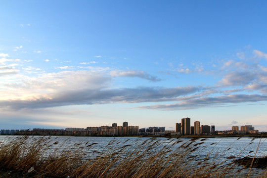 大庆 龙凤湿地 大庆市 湿地