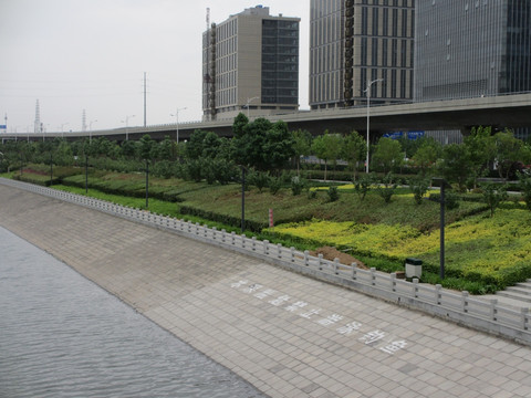 河道绿化