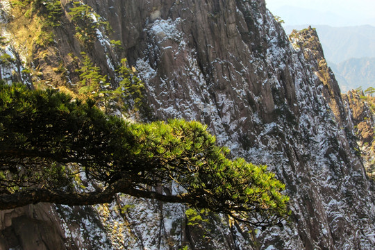 青松雪山