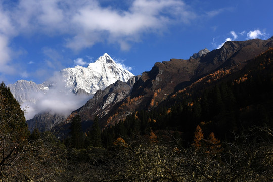 四姑娘山风光