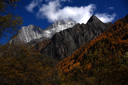 四姑娘山风光