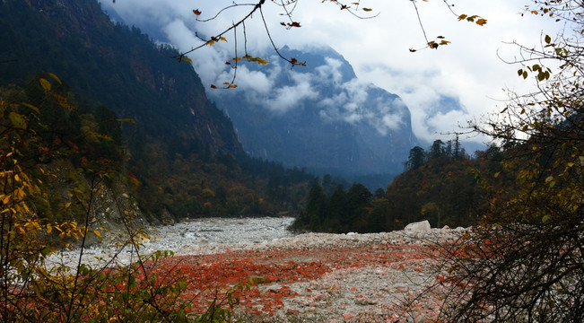 燕子沟