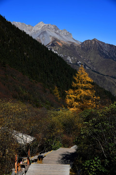 童话九寨 迷色黄龙