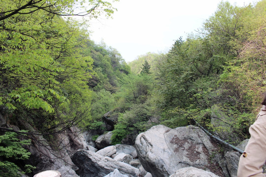 石头 绿树 老君山