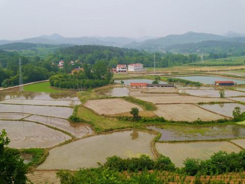 山区农田