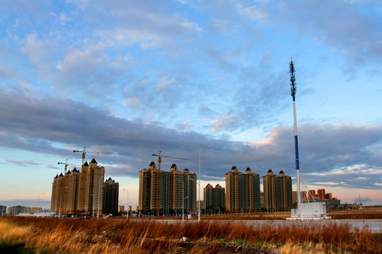 大庆 龙凤湿地 大庆市 湿地