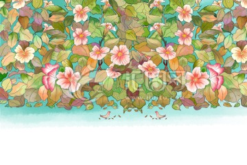 花墻